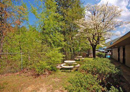 Rodeway Inn Skyland 蓋特林堡 便利设施 照片
